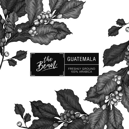 Coffee set. Hand drawn coffee branch. Vector colored engraved icon. Packaging design in brutal style. Label template, brand identity, coffee shop, restaurant or cafe menu. Trendy barista brandingのイラスト素材