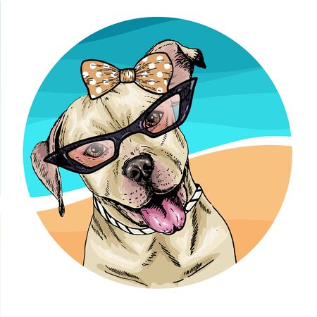 Vector portrait of pit bull terrier dog wearing sunglasses and retro bow. Summer fashion illustration. Vacation, sea, beach, ocean. Hand drawn pet portait. Poster, t-shirt print, holiday, postcardのイラスト素材