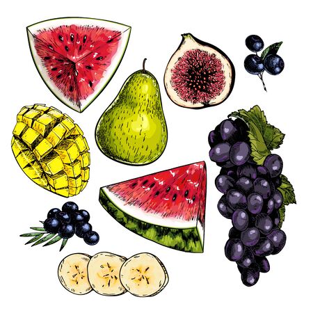 Hand drawn set of tropical fuits. Vector colored isolated objects. Sliced watermelon, mango, banana, fig. Grape branch, pear, blueberry. Restaurant menu, food package. Summer exotic harvestのイラスト素材