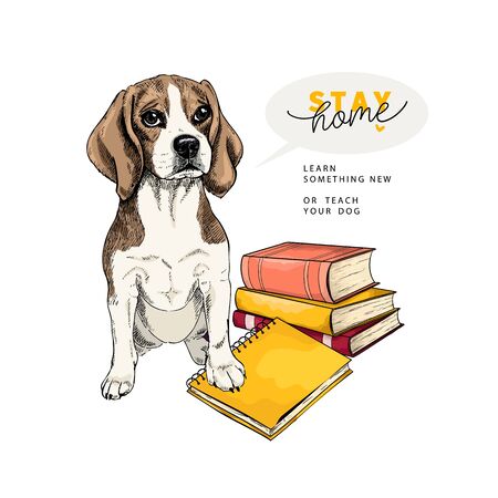 Hand drawn beagle dog sits with a books and a notebook. Vector engraved quarantine poster. Stay smart, stay at home. Covid-19 pandemic flyer. Education, calmness, knowledgeのイラスト素材