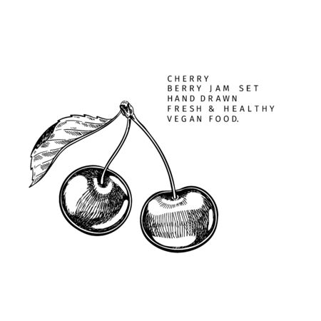 Hand drawn cherry branch, leaf and berry. Engraved vector illustration. Bird berry, merry agriculture plant. Summer harvest, jam or marmalade vegan ingredient. Menu, package, cosmetic and food designのイラスト素材
