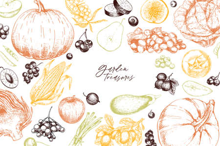 Hand drawn vegetables and fruits. Vector pupkin, pear,apple, artichoke, plum, grape, tomato, onion, cheery, gooseberry blackberry Engraved illustration Menu flyer package designのイラスト素材