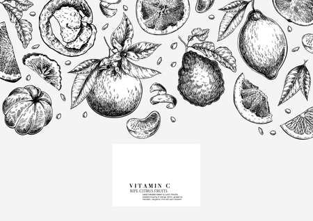 Citrus fruit set. Hand drawn orange, lemon, grapefruit, mandarin, lime, bergamot, leaves with bloosm and branches. Vector engraved composition Restaurant branding, cosmetic package design, menuのイラスト素材