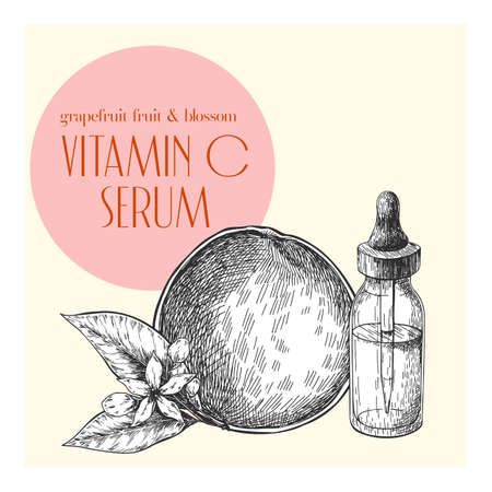 Hand drawn set of essential oils. Vector grapefrut, sour orange. Medicinal herb with glass dropper bottle. Engraved art. For cosmetics, medicine, treating, healthcare, package design, moisturizing.のイラスト素材