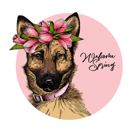 Portrait of german shepherd dog wearing tulip crown and bandana. Welcome spring. Hand drawn colored vector illustration. Engraved detailed art. Good for Easter greeting card, poster, banner, flyer.のイラスト素材