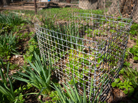 metal grid for plants in garden for protection