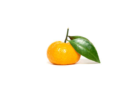 fresh and ripe tangerines with green leaves on a white backgroundの写真素材