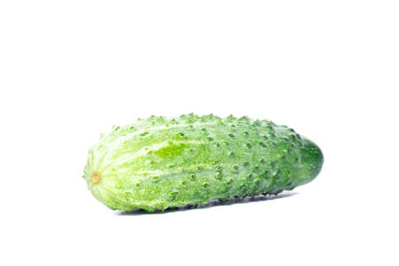 ripe green cucumber isolated on white backgroundの写真素材