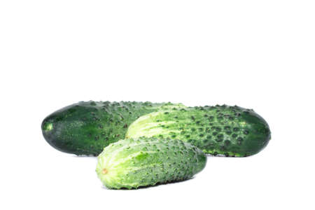 three ripe green cucumbers isolated on a white backgroundの写真素材
