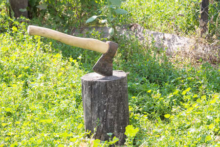 an old sharp ax is stuck in a stump that stands on the green grassの写真素材