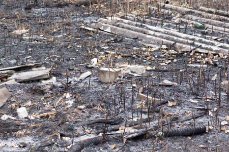 burnt-out land and plants and garbage after a fireの写真素材