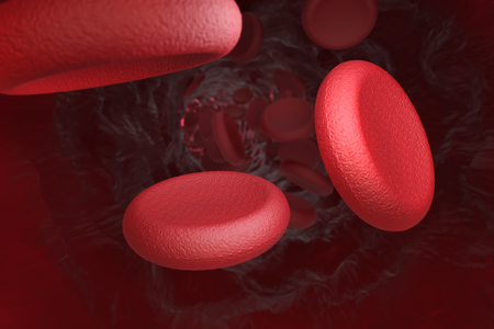 Red blood cells in vein. 3d illustrationの写真素材