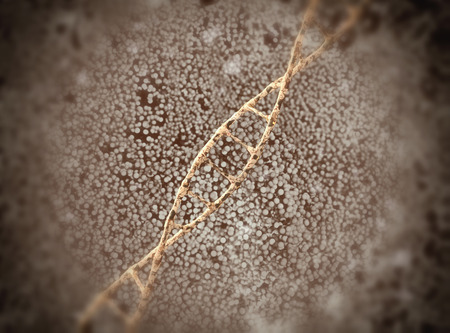 Damaged ribonucleic acid or dna strand. 3d illustration concept. 3d illustrationの写真素材