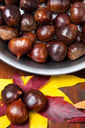 chestnuts - autumn fruitの写真素材