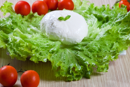 Mozzarella, salad and tomatoesの写真素材
