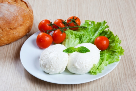 Mozzarella, salad and tomatoes in a dishの写真素材