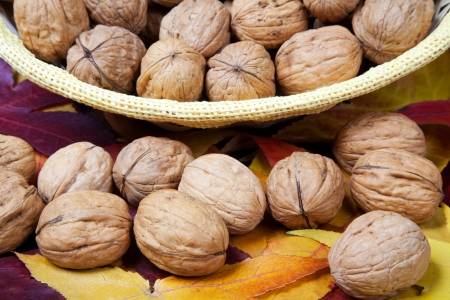 Walnuts in a wooden tableの写真素材