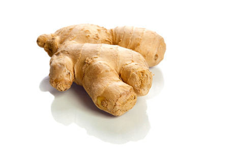 Ginger Isolated on White Backgroundの写真素材