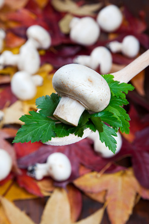 Close-up of champignons on a spoonの写真素材