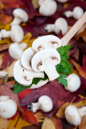 Close-up of champignons on a spoonの写真素材