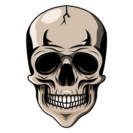 Skull head mascotのイラスト素材