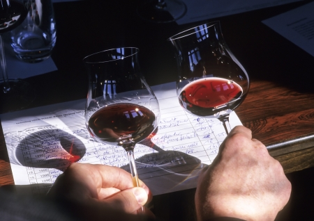 Two cherry Wines compare by the color, with note.の写真素材
