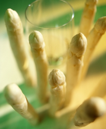 glass of white wine with asparagus in an green and yellow ambianceの写真素材