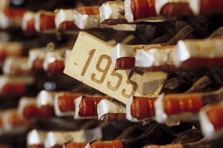 Year 1955 wine in an old wine cellar.の写真素材