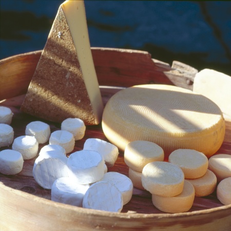 different sorts of cheese on a plateの写真素材
