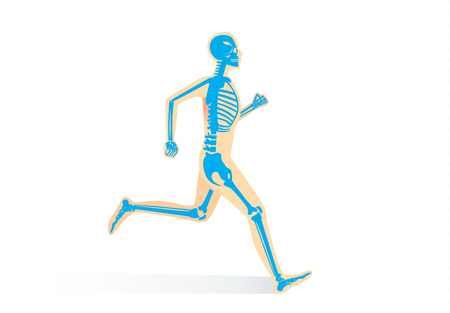 Human Bone Anatomy while run isolated. Illustration about human physical and sport.のイラスト素材