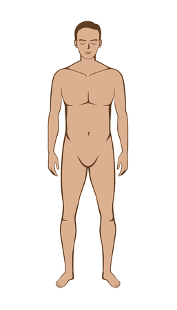 Full length front view of man while standing in vector style isolated on white background. Ideal for job about medical and science.のイラスト素材