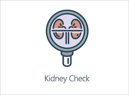 Magnifying glass looking human Kidney. Illustration Icon about health check up for diagnose disease.のイラスト素材