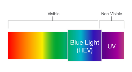Blue light in visible spectrum. Illustration about Human vision.のイラスト素材