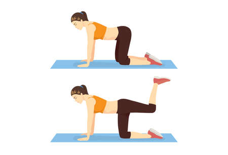 Woman doing Donkey Kick Exercise on the floor in 2 steps. Illustration about the workout to target at leg and thigh.のイラスト素材