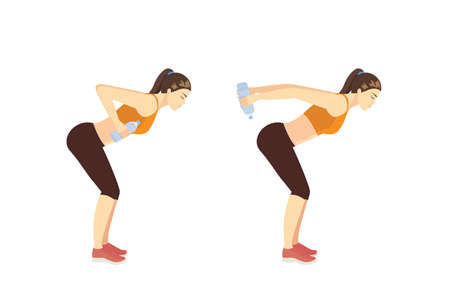 Woman doing exercise with Bent Over Water Bottle Fly. Illustration about Fitness with lightweight equipment.のイラスト素材