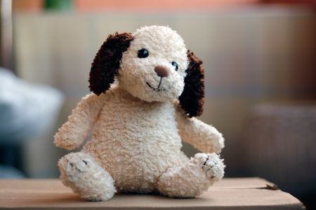 Stuffed Vintage Toy Dogの写真素材