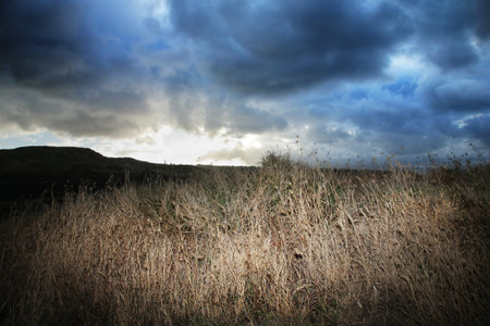 Dramatic clouds at sunset in steppe