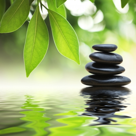 Grean leaves over zen stones pyramid on water surface Grean leaves over zen stones pyramid on water surface