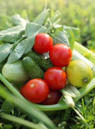 Bowl of fresh organic home grown vegetables on green grassの写真素材