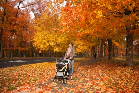 Young mother walking with baby in stroller in beautiful autumn park covered with red and yellow leaves.の写真素材