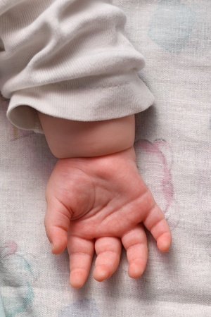 Closeup view on cute baby hand, palm up.の写真素材