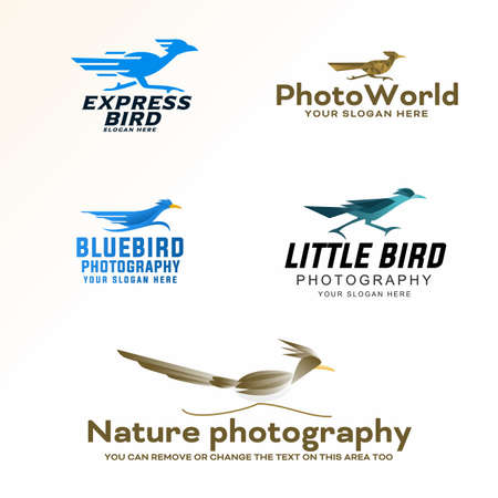 Set of fast bird logo designのイラスト素材