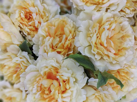 artificial flower imageの写真素材