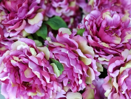 artificial flower imageの写真素材