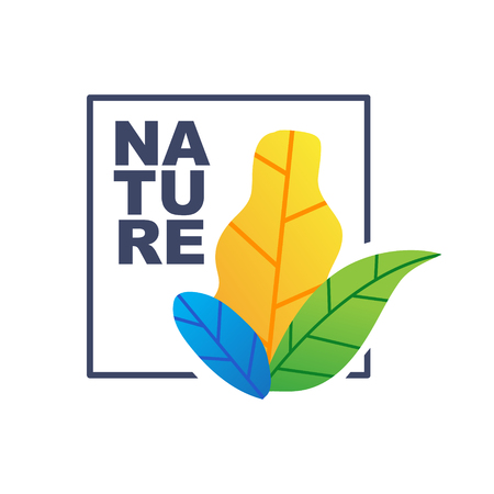 Nature Botanical illustration simple designのイラスト素材