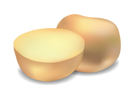Realistic potatoes vegetable illustration. Isolated on white background.のイラスト素材