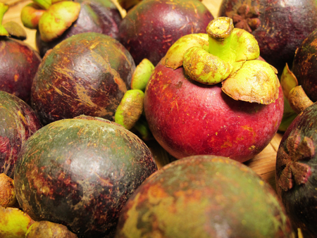 Buah Manggis, Red and purple mangosteen fruitsの写真素材