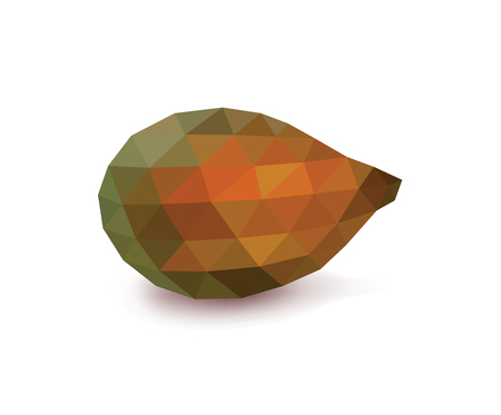 Polygonal Salacca or Zalacca Fruit, Low Poly Salak Fruit, Isolated on White Backgroundのイラスト素材