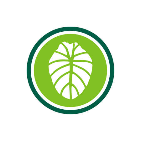 Elephant ear plant logo icon, alocasia leaf symbolのイラスト素材