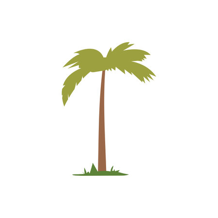 Cartoon palm tree  or coconut tree vector image, isolated on white backgroundのイラスト素材